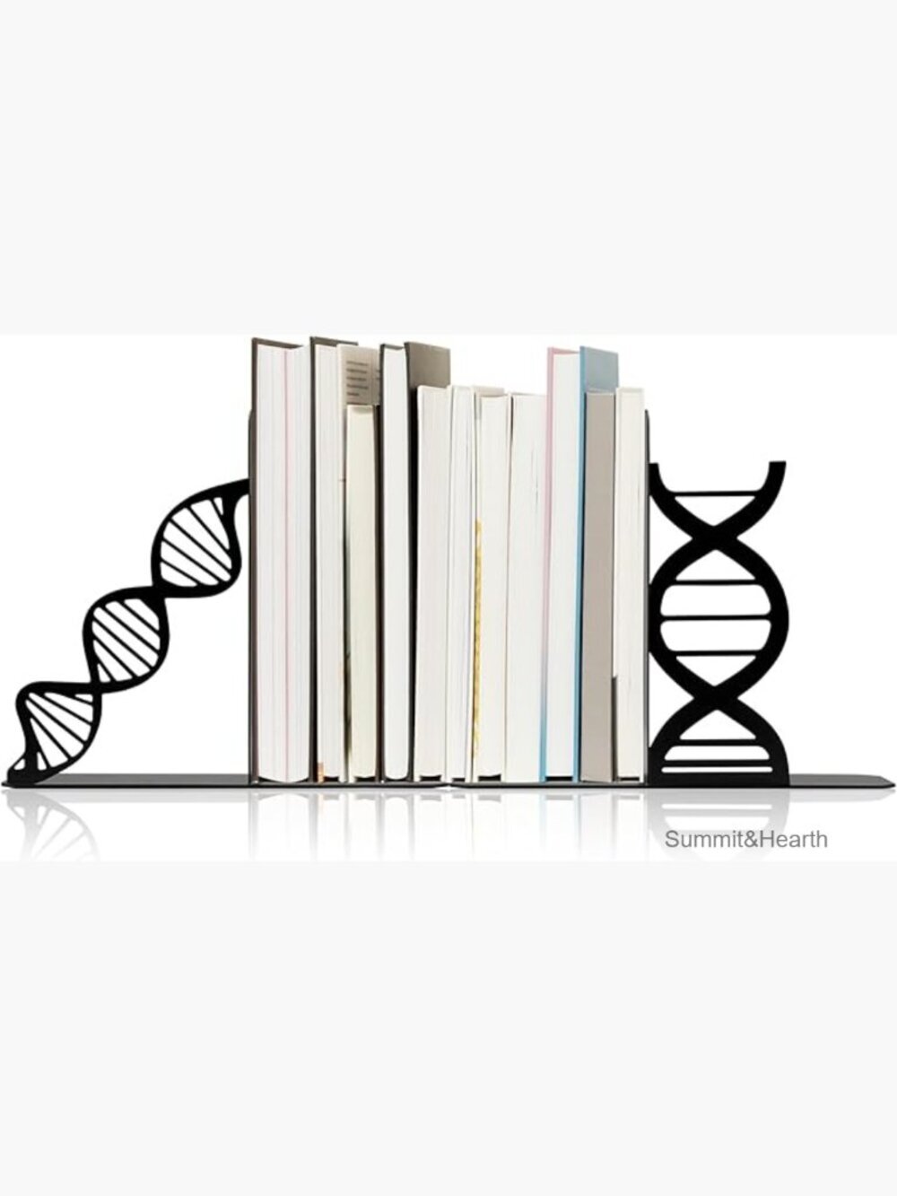 Metal DNA Double Helix Bookends for Bookshelf Biology Decor